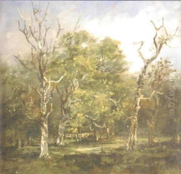 Study Of Trees In The Park At Campsey Ash Oil Painting by Thomas Churchyard