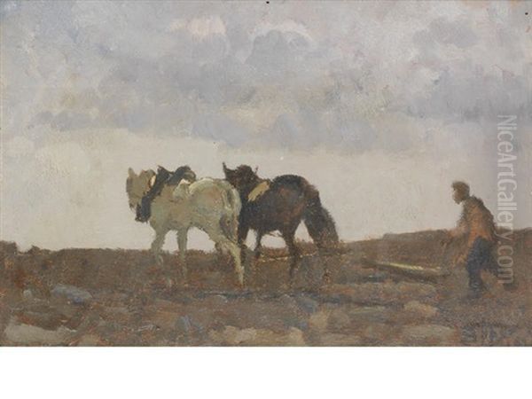 Ploughing Oil Painting by Beppe Ciardi