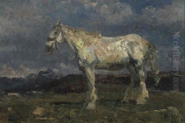 Cavallo Bianco Nel Paesaggio Oil Painting by Beppe Ciardi