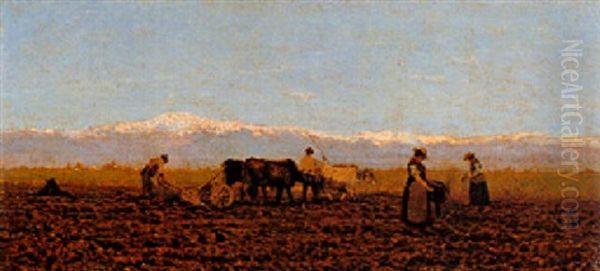 L'aratura Oil Painting by Guglielmo Ciardi