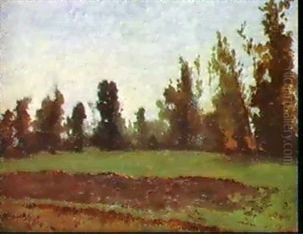 Paesaggio Di Primavera Oil Painting by Guglielmo Ciardi