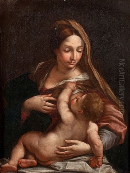 Vierge A L'enfant Oil Painting by Carlo Cignani