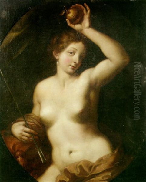 Venus With The Golden Apple Oil Painting by Carlo Cignani