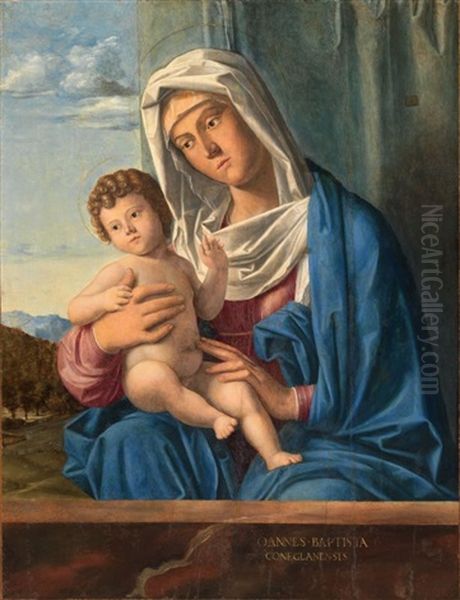 Madonna Col Bambino (gia Madonna Cook) Oil Painting by Giovanni Battista Cima da Conegliano