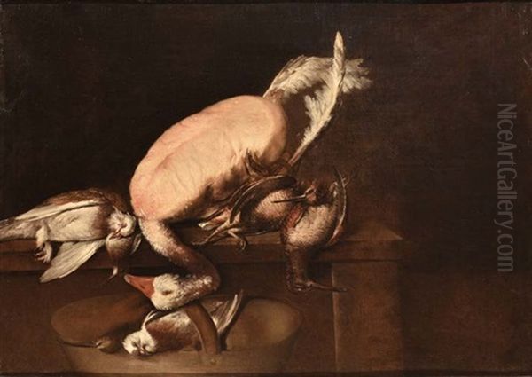 Natura Morta Con Oca E Beccacce Oil Painting by Giacomo Francesco Cipper