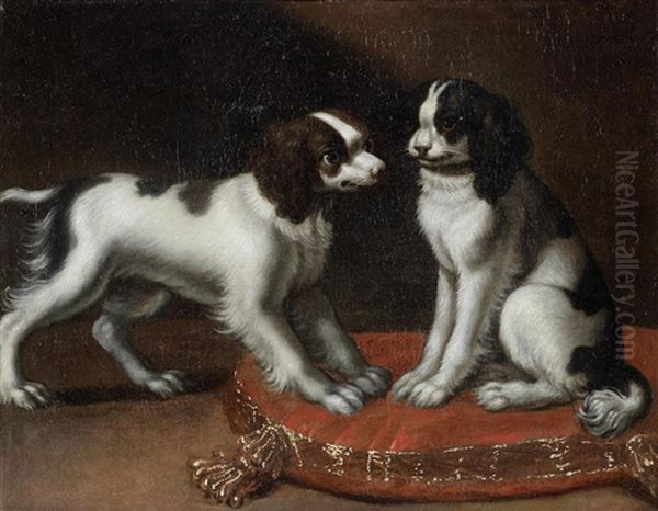 Two Spaniels On A Cushion Oil Painting by Pier Francesco Cittadini