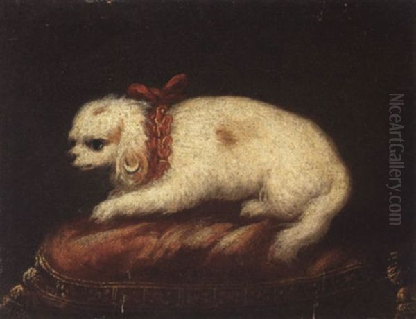 Maltese On A Red Cushion Oil Painting by Pier Francesco Cittadini