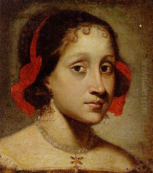 Head Of A Young Woman With A Red Ribbon In Her Hair Oil Painting by Pier Francesco Cittadini