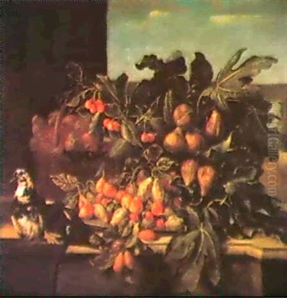 Natura Morta Di Frutta Con Cesto Di Fichi Oil Painting by Pier Francesco Cittadini