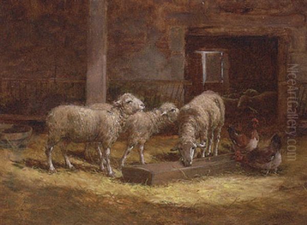 Sheep And Chickens In A Barn Oil Painting by Charles H. Clair