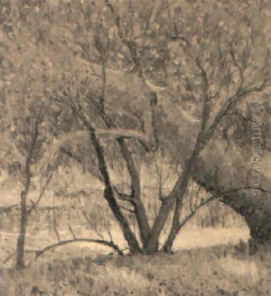 Trees Oil Painting by William Henry Clapp