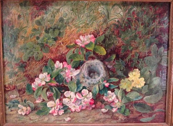 Two Still Lifes With Flowers And Robin's Nest Oil Painting by George Clare