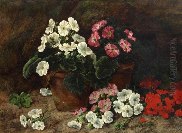 White, Pink And Red Nasturtiums Oil Painting by George Clare