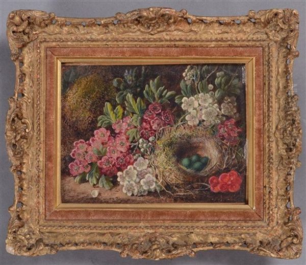 Still Life Of Flowers And Nest by George Clare