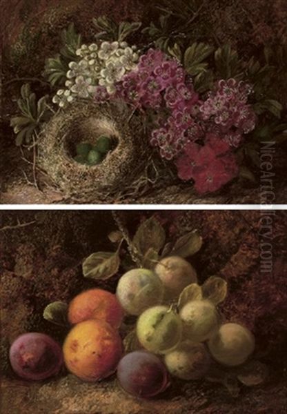 A Bird's Nest And Hawthorn Blossom (+ Plums And Greengages; Pair) Oil Painting by George Clare