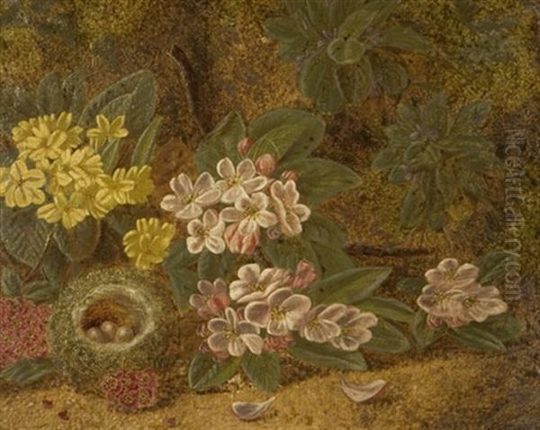 Still Life With Flowers And Birds Nest Oil Painting by George Clare