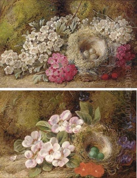 May Blossom, Berries And A Bird's Nest With Eggs, On A Mossy Bank (+ Apple Blossom And A Bird's Nest With Eggs, On A Mossy Bank; Pair) Oil Painting by George Clare