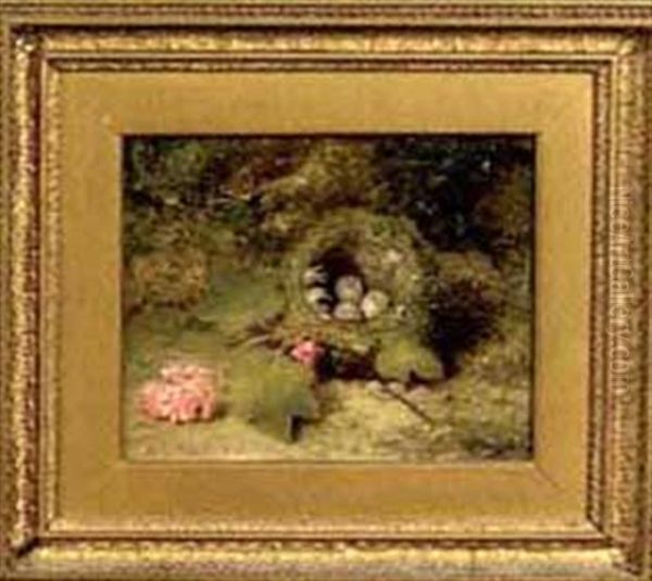 A Bird's Nest On The Forest Floor Oil Painting by George Clare