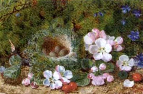 Apple Blossom, Berries And A Bird's Nest With Eggs On A Mossy Bank (+ Grapes, Raspberries And Greengages On A Mossy Bank; Pair) Oil Painting by George Clare