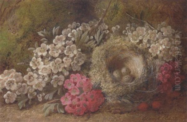 May Blossom, Berries And A Bird's Nest With Eggs On A Mossy Bank Oil Painting by George Clare