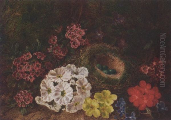 Spring Flowers And A Birds Nest On A Mossy Bank Oil Painting by George Clare