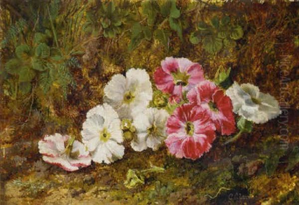 Pelargoniums On A Mossy Bank Oil Painting by George Clare