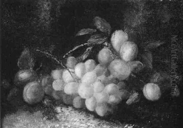 Grapes And Plumps On A Mossy Bank Oil Painting by George Clare