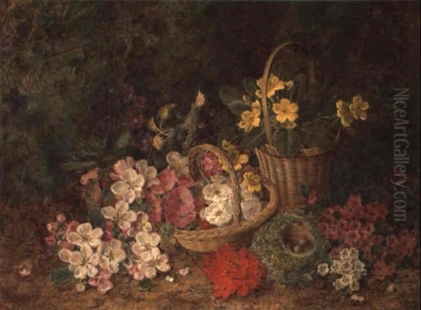 A Still Life Of Violets, Apple Blossom, Geraniums, Bird's Nest, Primroses, Etc. Oil Painting by George Clare