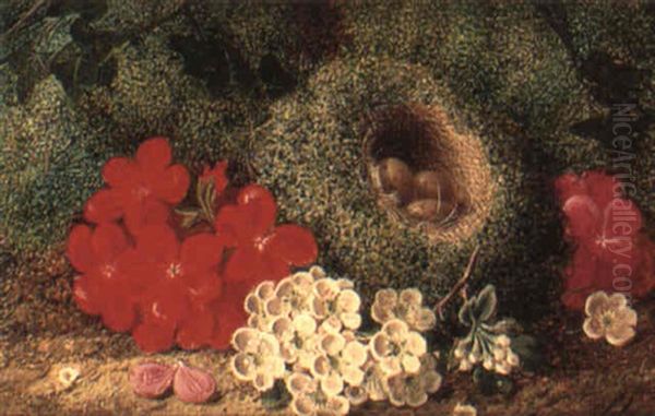 Still Life With Bird's Nest And Blossom Oil Painting by George Clare