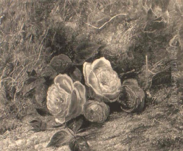 Red And White Roses On A Mossy Bank Oil Painting by George Clare