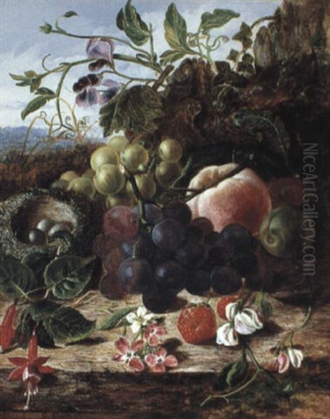 Still Life With Grapes, A Peach, Plums, Strawberries,       Fuchias, Sweet Peas And A Bird's Nest Oil Painting by George Clare