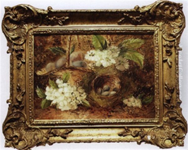 Still Life With Robins Nest And Flowers Oil Painting by Joseph Clare