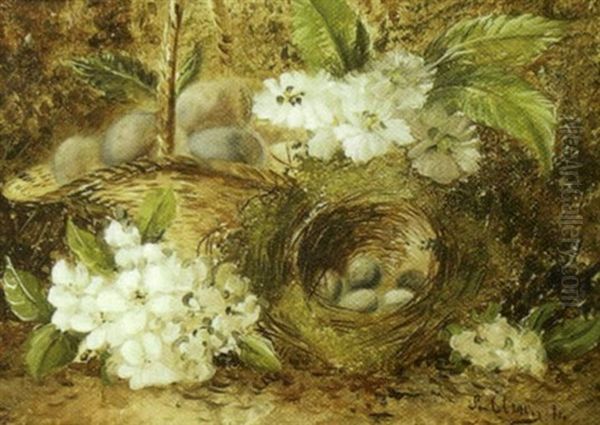 Still Life With Robins Nest And Flowers Oil Painting by Joseph Clare