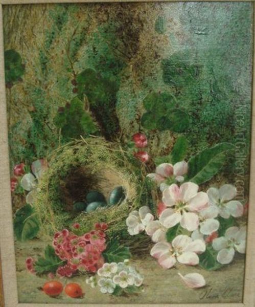 Still Life Of A Birds Nest, Eggs, Flowers And Rose Hips; Still Life Of A Birds Nest, Eggs And Flowers, A Pair Oil Painting by Oliver Clare