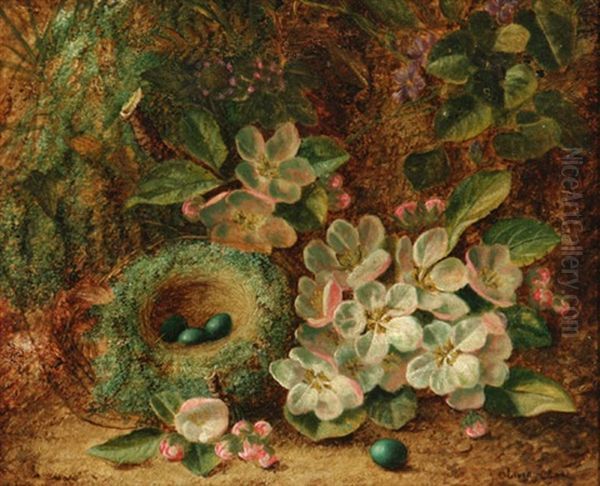 Moss Lined Robin's Nest With Eggs And Apple Blossoms by Oliver Clare