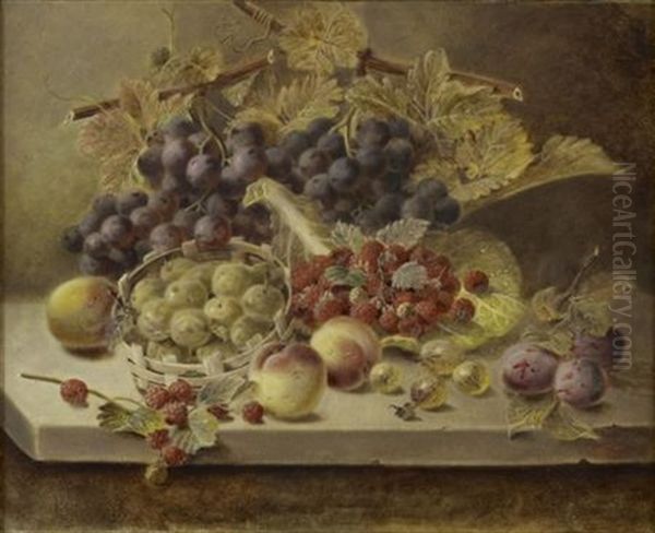 Still Life Of Assorted Fruit On A Ledge Oil Painting by Oliver Clare