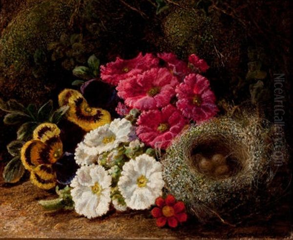 Primulas And A Bird's Nest On A Mossy Bank Oil Painting by Oliver Clare