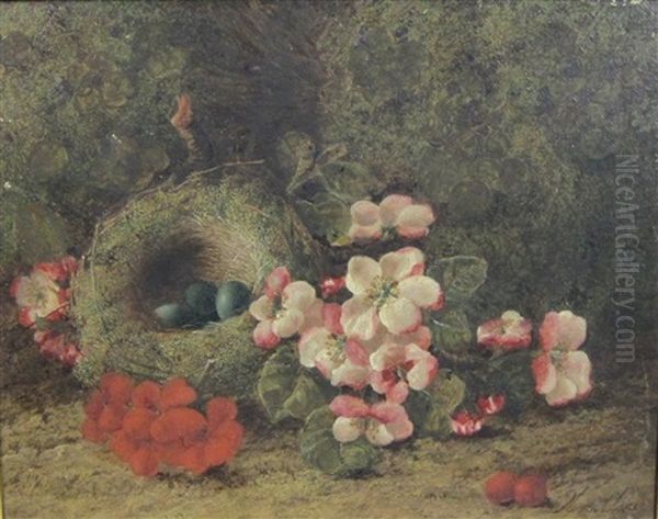 A Still Life Of A Bird's Nest And Flowers On A Bank Oil Painting by Oliver Clare