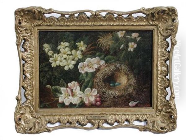 Bird's Nest With Primroses And Dog Roses On A Bank (study) Oil Painting by Oliver Clare