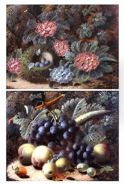 Still Life Of Flowers And A Birds Nest With Eggs (+ A Still Life Of Fruit; Pair) Oil Painting by Oliver Clare