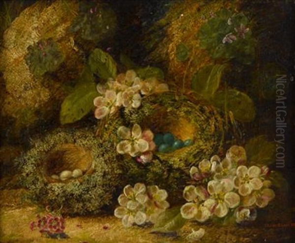 Primroses And Birds Nests On A Mossy Bank Oil Painting by Oliver Clare