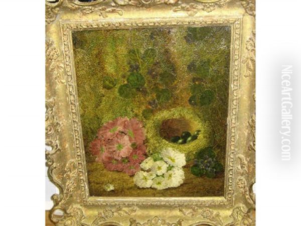 Bird's Nest And Primroses Oil Painting by Oliver Clare