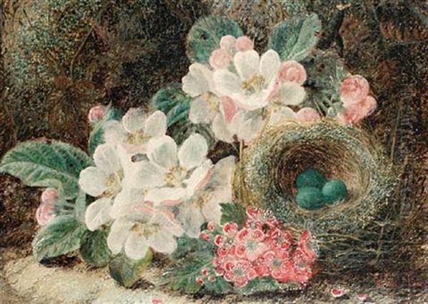 Apple Blossom And A Bird's Nest On A Mossy Bank Oil Painting by Oliver Clare