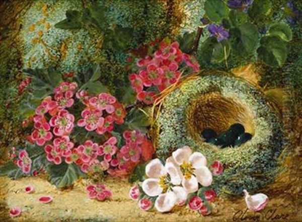 Flowers And A Bird's Nest On A Mossy Bank Oil Painting by Oliver Clare