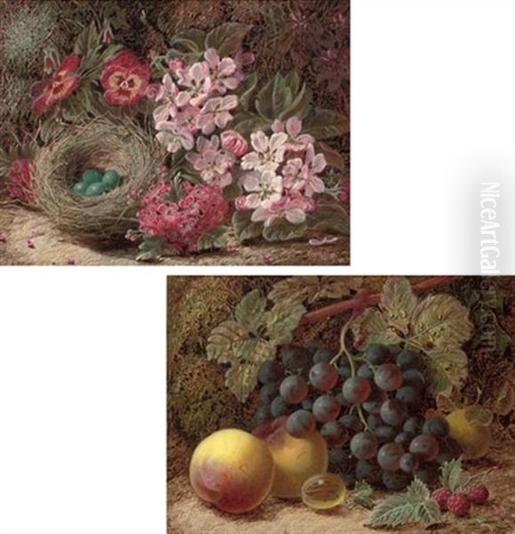 A Bird's Nest With Pansies And Hawthorn Blossom (+ Apples, Grapes And Greengages, 1904; Pair) Oil Painting by Oliver Clare