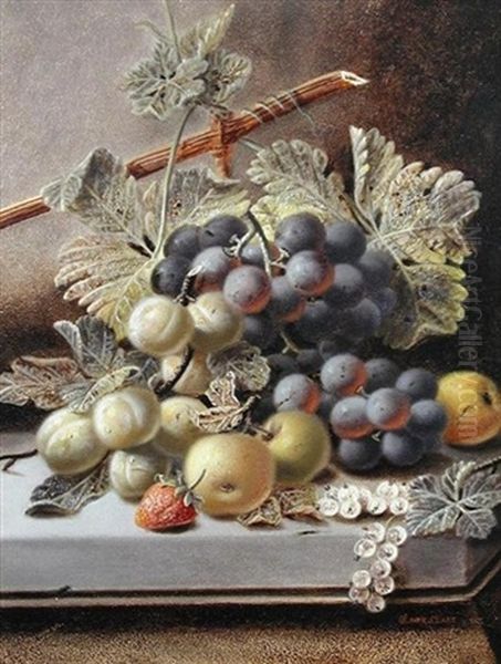 A Bunch Of Grapes And Plums On A Ledge (+ Plums, Grapes And Strawberries On A Ledge; Pair) Oil Painting by Oliver Clare