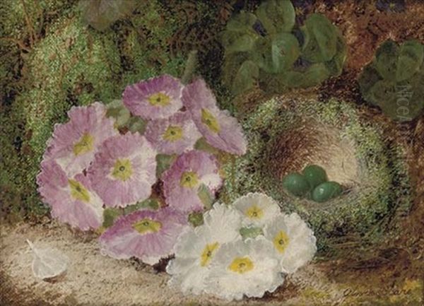 A Bird's Nest And Eggs With Flowers On A Mossy Bank (+  Grapes, Plums And Raspberries On A Mossy Bank; Pair) Oil Painting by Oliver Clare