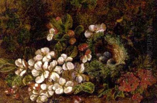 Blossom And A Bird's Nest On A Rocky Bank Oil Painting by Oliver Clare