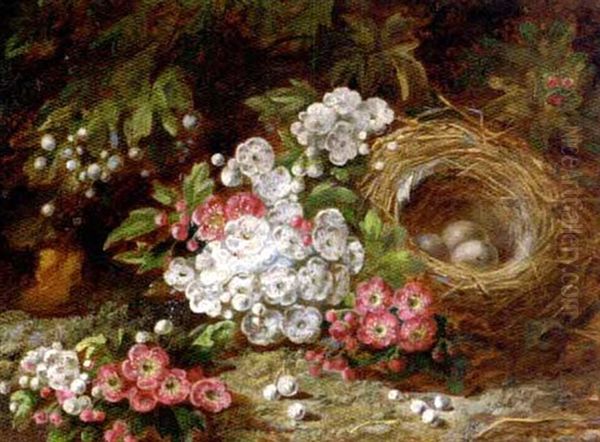 Apple Blossom, Elderberries And A Bird's Nest With Eggs, On A Mossy Bank Oil Painting by Oliver Clare