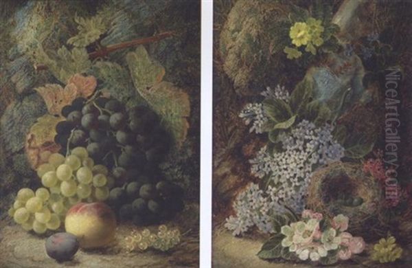 Still Life Of Grapes And Other Fruits On A Mossy Bank Oil Painting by Oliver Clare